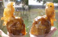 Golden Healer Kristallschädel mit Eule 1,8 kg